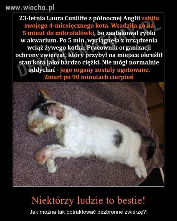Przerażające niektórzy ludzie to bestie bez serca i uczuć! 