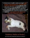 Przerażające niektórzy ludzie to bestie bez serca i uczuć! 