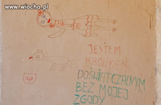 60 latka poczuła wenę artystyczną