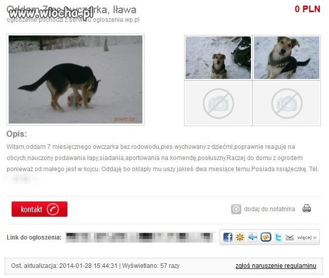 Psu opadły uszy, a mi ręce...