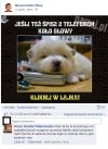 Dziecko z fb