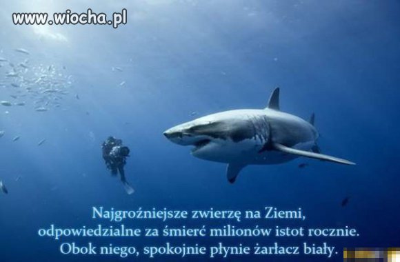 I jak tu nazwać człowieka