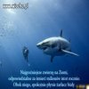 I jak tu nazwać człowieka