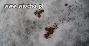 Wiosna tuż, tuż
