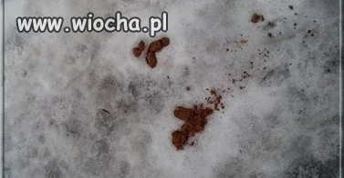 Wiosna tuż, tuż