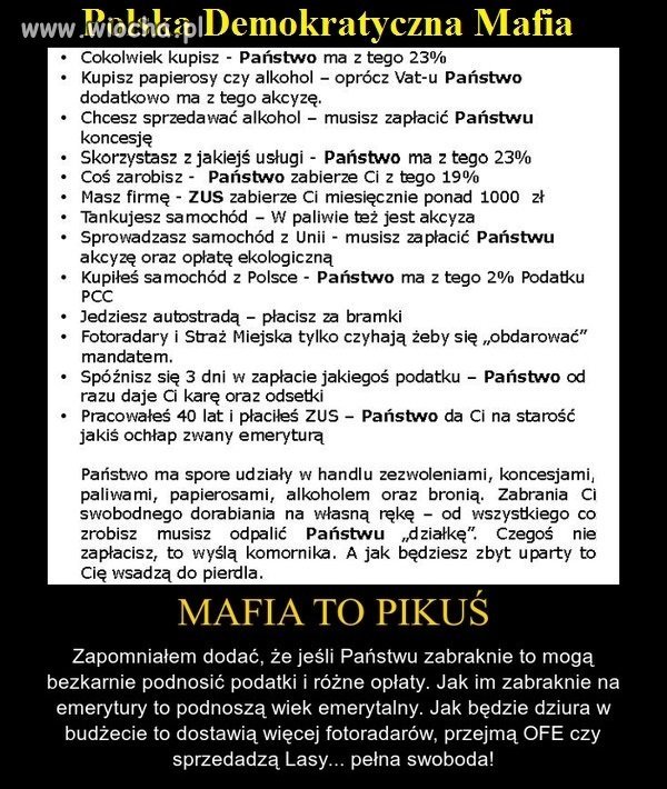 Camorra czy Yakuza powinna przyjechac na nauki
