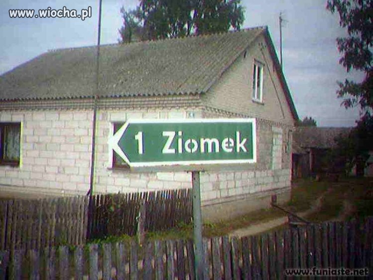Element galerii