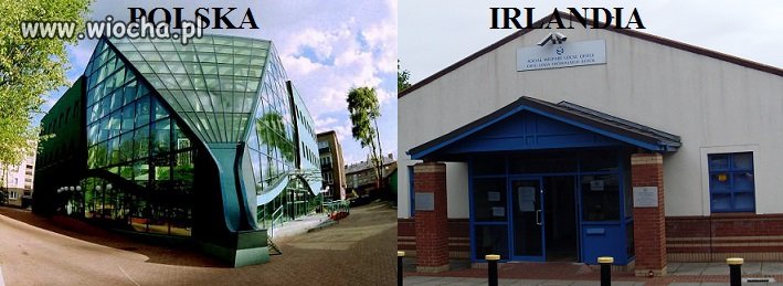BUDYNEK ZUS i BUDYNEK Social welfare ireland