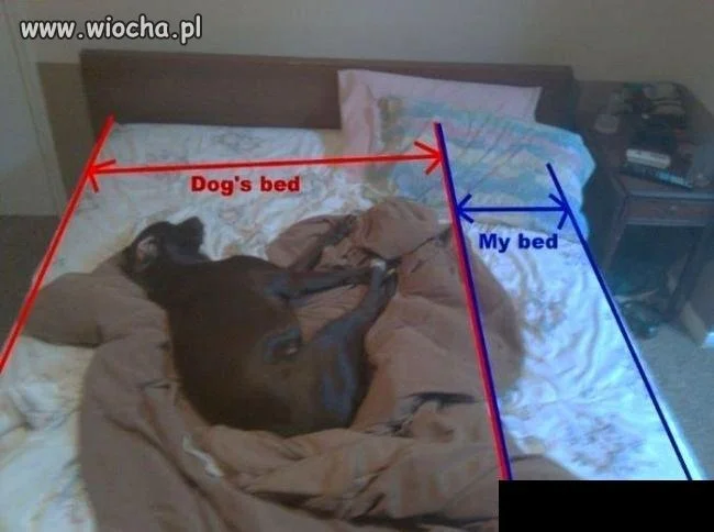 Ja też tak mam 