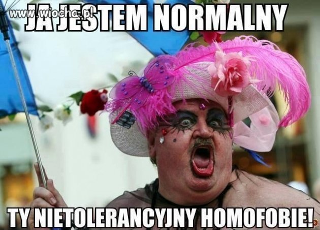 Tak wygląda kot wywrócony ogonem 
