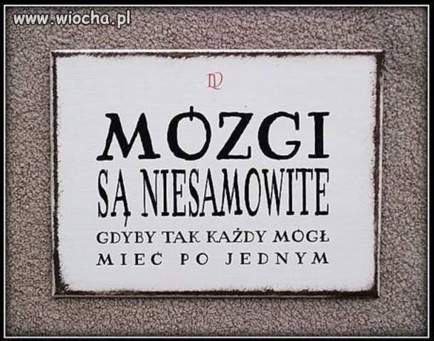 A zwłaszcza nasi