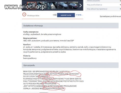 Typowy Handlarz Mirek