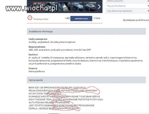 Typowy Handlarz Mirek
