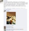 Matka roku