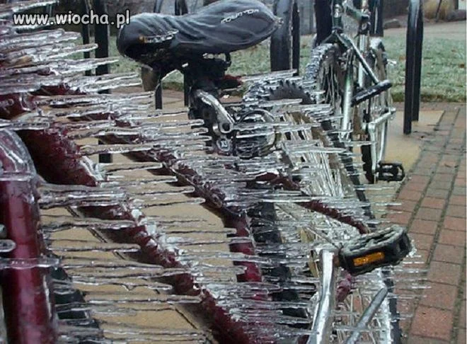 Ostatnio trochę u nas wiało...
