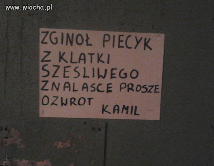 Siła umysłu 