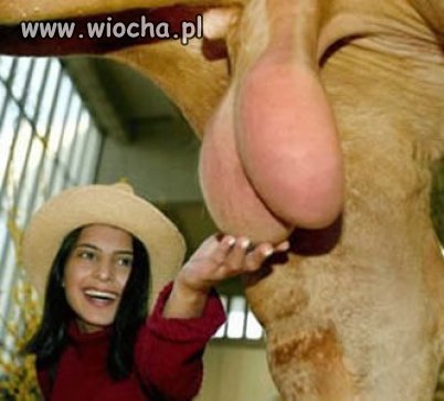 Ale jaja