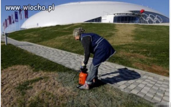 Trawa musi być idealnie