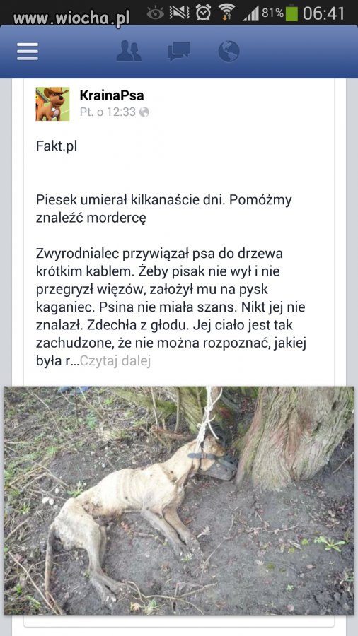 Ubić takiego właściciela