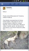Ubić takiego właściciela