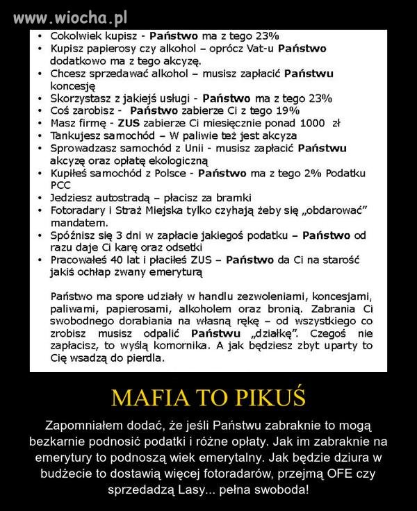 Głosujemy na złodziei 