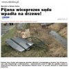 Pijaczyna...