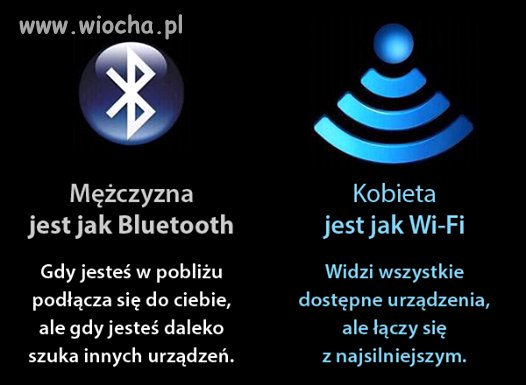 Czym różni się mężczyzna od kobiety