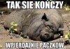 Z okazji "Tłustego Czwartku".