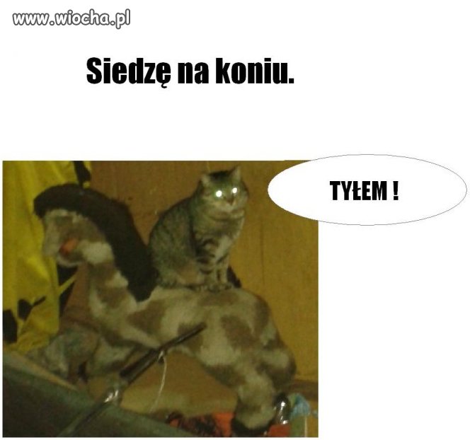 Nowa reklama Old Spice.
