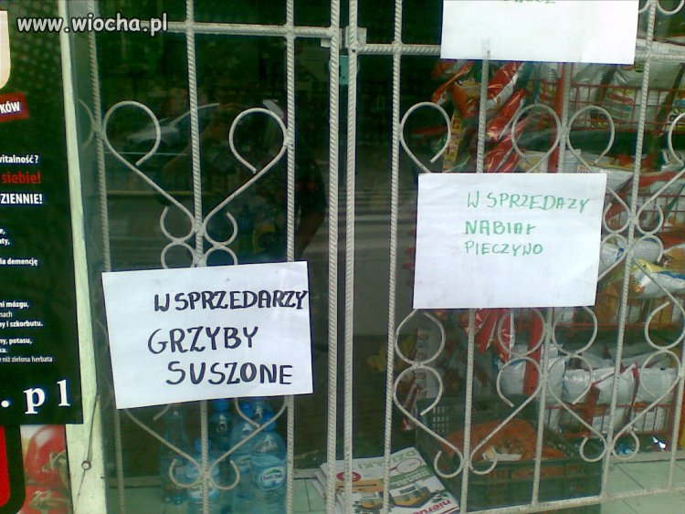 Niezdecydowani
