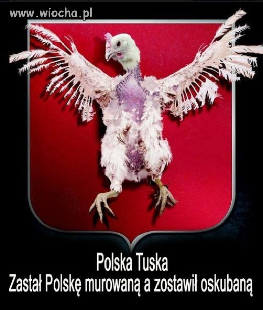 Nawet Orła oskubali