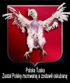 Nawet Orła oskubali