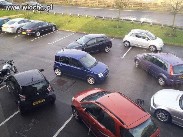 Parkowanie trudną sztuką jest!