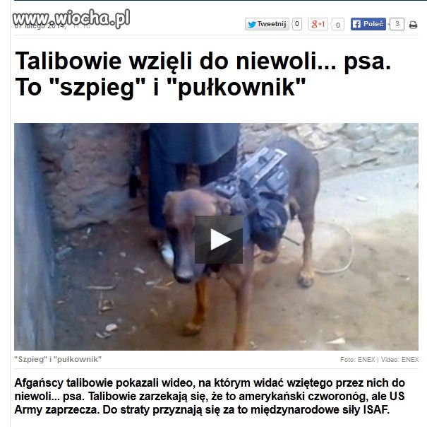 Uważaj... wróg...