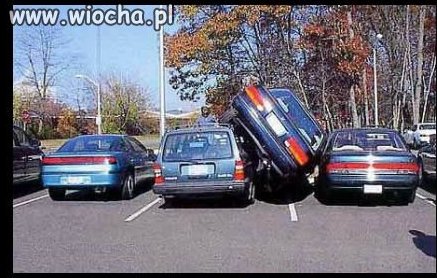 Mistrz parkowania