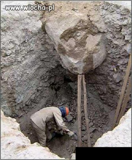 BHP i intelekt