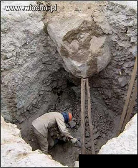 BHP i intelekt