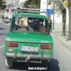 Made in Bułgaria...