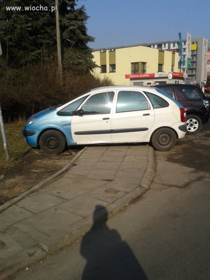 Mistrz