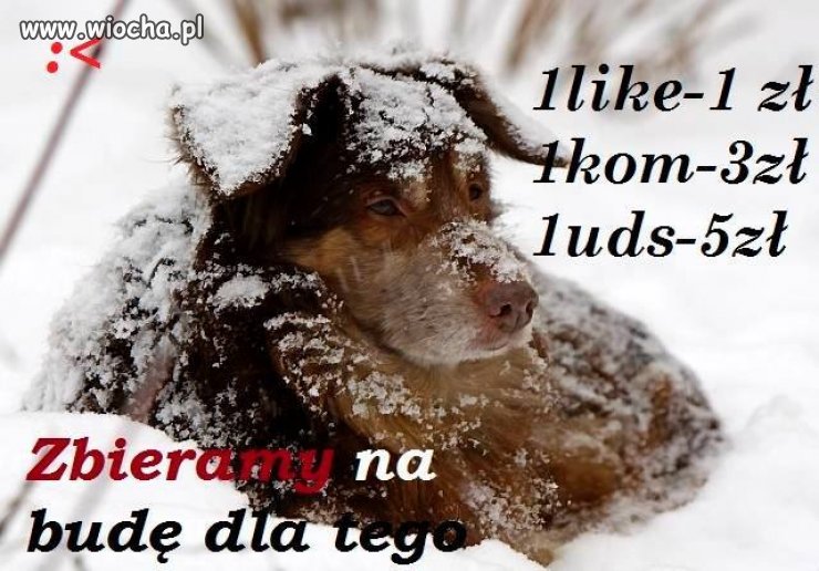 Czy takie apele na FB to nie czysta wiocha? 