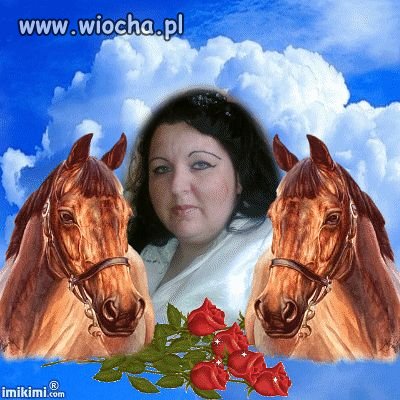 Zaklinaczka koni...