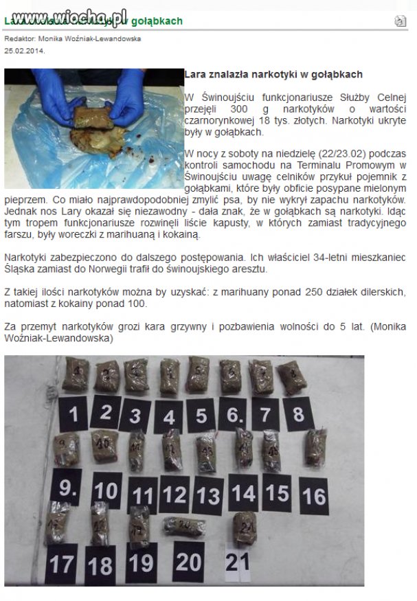 Polak potrafi "prawie potrafi"