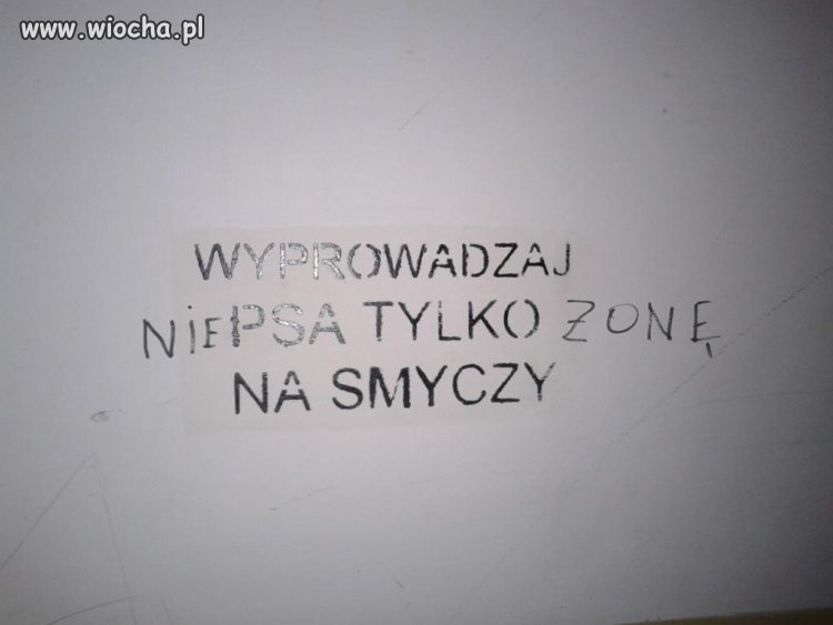 Znalezione na klatce schodowej bloku...