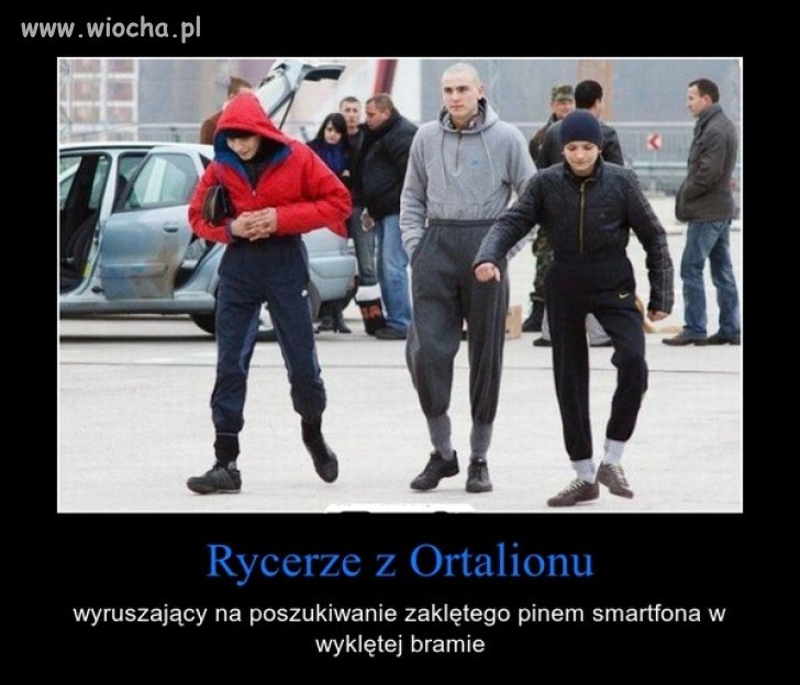 Rycerze ortalionu 