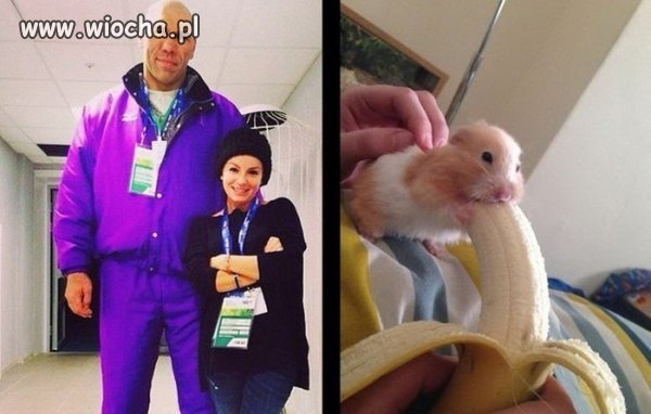 Trafne porównanie.