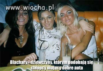 Blachara definicja bo nie wszystkie wiedzą