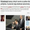 A wy za ile tankujecie swoje auta?