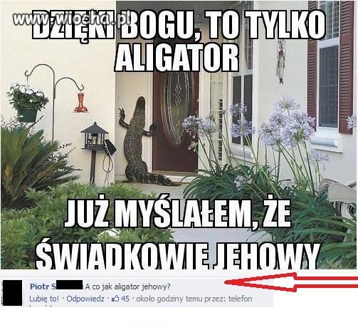 Puk puk, kto tam