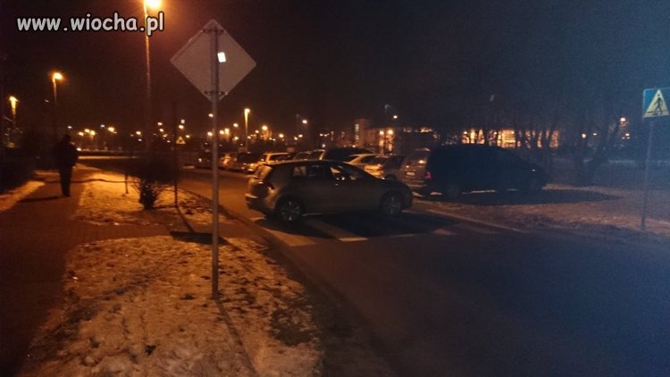 Mistrz parkowania