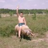 Patataj koniku 